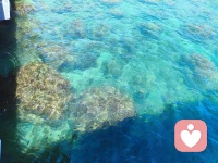 三亚～西岛 2026.5.28
西岛的海好美～好像会发光耶✨配图
