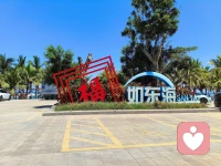 大东海～2026.5.29配图