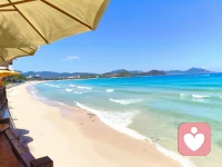 大东海～2026.5.29配图