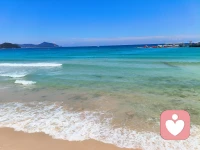 大东海～2026.5.29配图
