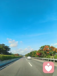 总有一天 
你会看到七色花儿来
带着幸福
来到你身旁