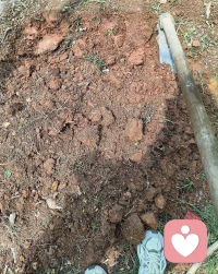 在小小的花园里挖呀挖
挖到蚯蚓几条
手心起了几个泡 
累了，宝宝要睡觉了，晚安世界～