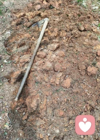 在小小的花园里挖呀挖
挖到蚯蚓几条
手心起了几个泡 
累了，宝宝要睡觉了，晚安世界～