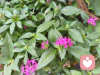 开启了😀 我（打扫、拔草…）的周末。
报告:图一的草儿拔不动