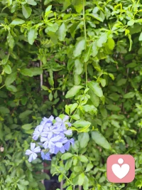 开启了😀 我（打扫、拔草…）的周末。
报告:图一的草儿拔不动