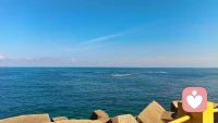体验、允许、接纳、 包容配图