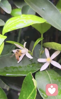 陪你奇奇怪怪，陪你可可爱爱 🐝🐌
愿你无忧无虑 乐开怀～配图
