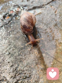 陪你奇奇怪怪，陪你可可爱爱 🐝🐌
愿你无忧无虑 乐开怀～配图