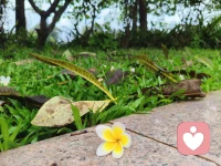早安😊～
生活明朗 
万物可爱配图