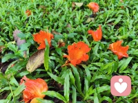 今天早上下雨耶
嘿嘿不用去跑步了
安心睡到自然醒😊
等我洗漱好
咦 雨居然停了
好嘞 那去跑步吧～配图