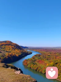 生活偶尔会累，情绪偶尔会沉，
没关系，你不是一个人在扛。
我愿意做你情绪的避风港，
听你说，陪你等，陪你慢慢变好。
愿你被理解，被温暖，被温柔以待。配图