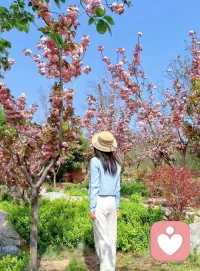 泰戈尔说：“有一个夜晚我烧毁了所有的记忆,从此我的梦就透明了,有一个早晨我扔掉了所有的昨天,从此我的脚步就轻盈了。”
我们不断地期待明天，却总是忽视当下，于是成了烦恼的源泉，不要对过去念念不忘，也不要对未来惴惴不安，只有时刻保持未满，才能把当下过得更加圆满。配图