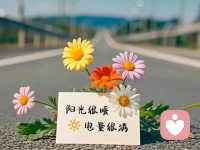 别用别人的标准丈量自己的山河，你独特的轨迹，本就是光芒。配图