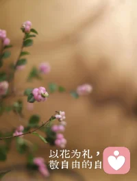 用细碎的美好，对抗生活的沉重，用稳稳的自爱，接住每一个疲惫的自己。配图