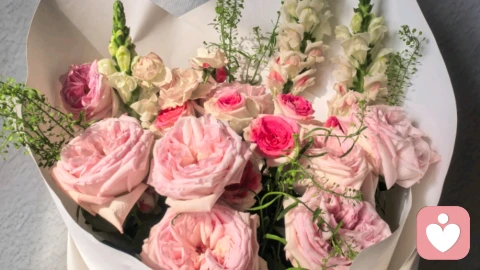 人生，取舍之间，心安即是归处