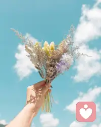 生活不必太拥挤，心安便是归处。配图