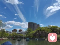 时而致郁，时而治愈，时而自愈