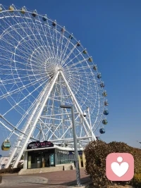 耳朵倾听心事，温柔守护童真。愿小小世界永远满是欢喜🎈