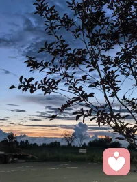 是微风，是晚霞，是心跳，是无可替代…