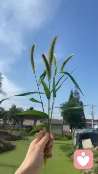 该怎么放下内心的焦虑呢配图