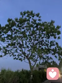 风止意平……配图