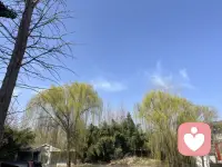 认真倾听每一个瞬间。配图