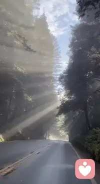 与自己和解配图