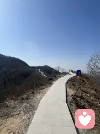 以冷漠之术御万物之局配图