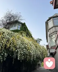 做你心灵的港湾配图