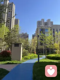认真的倾听每一个瞬间配图