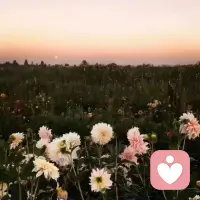 .𝙇𝙞𝙛𝙚 𝙞𝙨 𝙨𝙬𝙚𝙚𝙩 ☁️
“日子慢慢过，温柔且坚定，万事皆可期。”配图