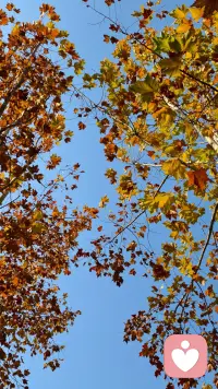 人的情绪就像一道光，带领你！走出迷雾进入光明！
我带一位叔叔60多岁，他独生儿子30多岁心肌梗塞，突然没了！夫妻俩受不了发疯似的哭泣，我花了极大的代价！他要一路往西，说儿子在西方。遇河过河遇山过山！那天放下我的工作，我哭了！他后来告诉我，他听到我的哭声心软了！放下正在路上一路向西去死的行动！救活了！
那段时间我每天电话宽慰，吃饭等！我共情充当他的女儿一段时间，陪他哭泣陪他暖！花了两个多月时间，救回一条性命！配图