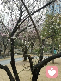 今天第一次进入这个平台配图