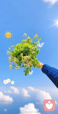 生活总有不期而遇的温暖，和生生不息的希望。