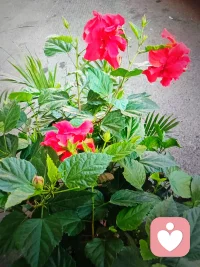 放过情绪，也放过疲惫的自己。