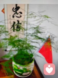 万物皆有裂痕，那是光照进来的地方。
接纳所有情绪，接纳所有遗憾。
心宽一点，烦恼就少一点，向内生长，自在从容🌿