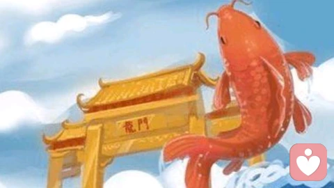 《心悟龙门》