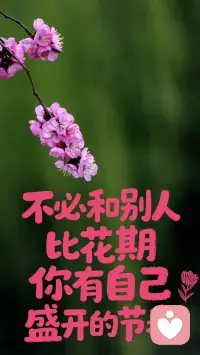 [星星]万物都在努力生长，你也一样
[星星]去奔跑，去追梦，去和风撞个满怀
[星星]不必和别人比花期，你有自己盛开的节奏
[星星]春天到了，你和那些花朵一样好看