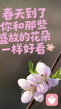 [星星]万物都在努力生长，你也一样
[星星]去奔跑，去追梦，去和风撞个满怀
[星星]不必和别人比花期，你有自己盛开的节奏
[星星]春天到了，你和那些花朵一样好看