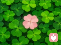 你好，本人女，94年，32岁，双鱼座，四川人，准备离婚带两个孩子生活，米你定，v，支都可以，备注自愿赠予，承受力强  情绪稳定，秒回 性格好  三观正  不敷衍 ，不见面不打扰不视频 ，嘴严绝对保守秘密[比心]如果没找到倾听者希望考虑考虑我，如果找到了，很抱歉，打扰了！配图