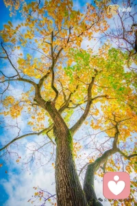 期待和你聊天配图