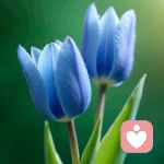 温言姐姐的头像