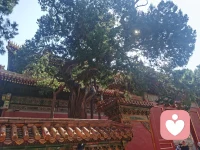 倾听不再是一种任务，而是一场心灵的合奏，让倾诉者在无声的风中，听到了自己被理解的心声。配图