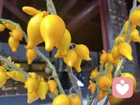 生活对你的不公平，不是你的独角戏，人生本就是一场修行，有苦有甜，有得有失，放空自己配图