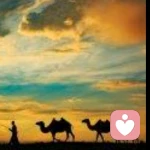 如果是你的头像