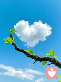 情绪没有对错，
每一种感受，都该被温柔接住。
愿你被理解，被看见，被温柔以待。