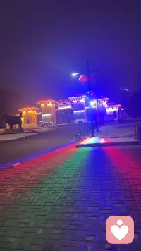 心有归宿即是岸配图