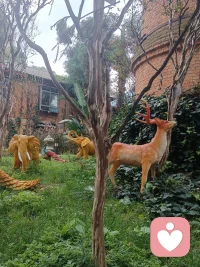 女性婚姻痛苦的部分来源是：在没有完成自己独立的前提下，把人生盲目寄托于与你同样没有完成自己成长课题的人，那大概率会让你一步错步步错，陷入痛苦的泥沼，婚姻从来不是找一个避风港躲雨，而是两个独立的人共同经营一个名为避风港的公司，共同抵御风雨，也不是单方面依附；找到正常有责任心的男人是幸运，而找到一个无法担责的人是常态，因为婚姻的本质从来不是救赎，而是两个拥有独立人格的人，为了更好的幸福而选择并肩。那么，亲爱的朋友，你是否也有过类型困惑烦恼？配图