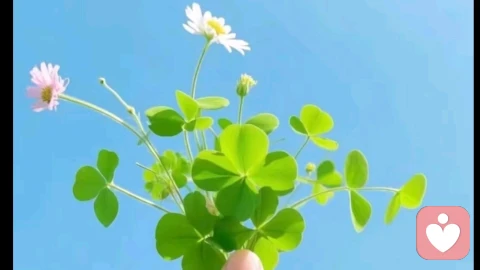 ✨ 婚姻里的破局：停止过度付出，学会好好爱自己