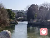 你不用逞强，也不用懂事。
在这里，你可以放心把情绪说出来。
我会安静倾听，温柔回应，
不评判、不指责、不打断。
做你专属的情绪树洞，陪你把难过慢慢抚平。配图